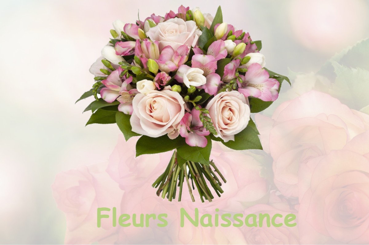 fleurs naissance MARSON-SUR-BARBOURE