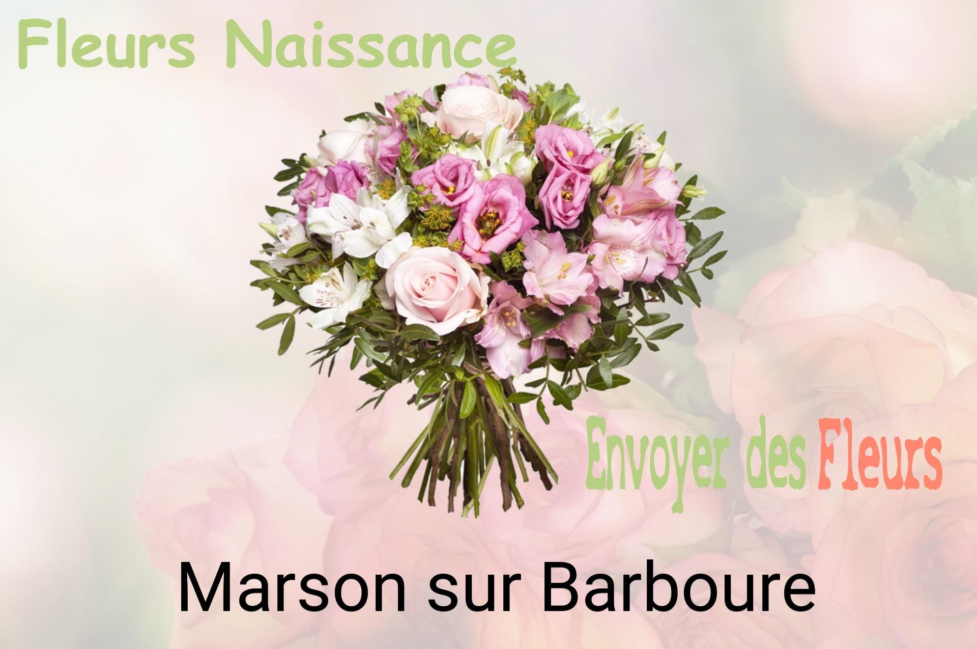 Bouquet de fleurs de naissance livré à Marson-sur-Barboure
