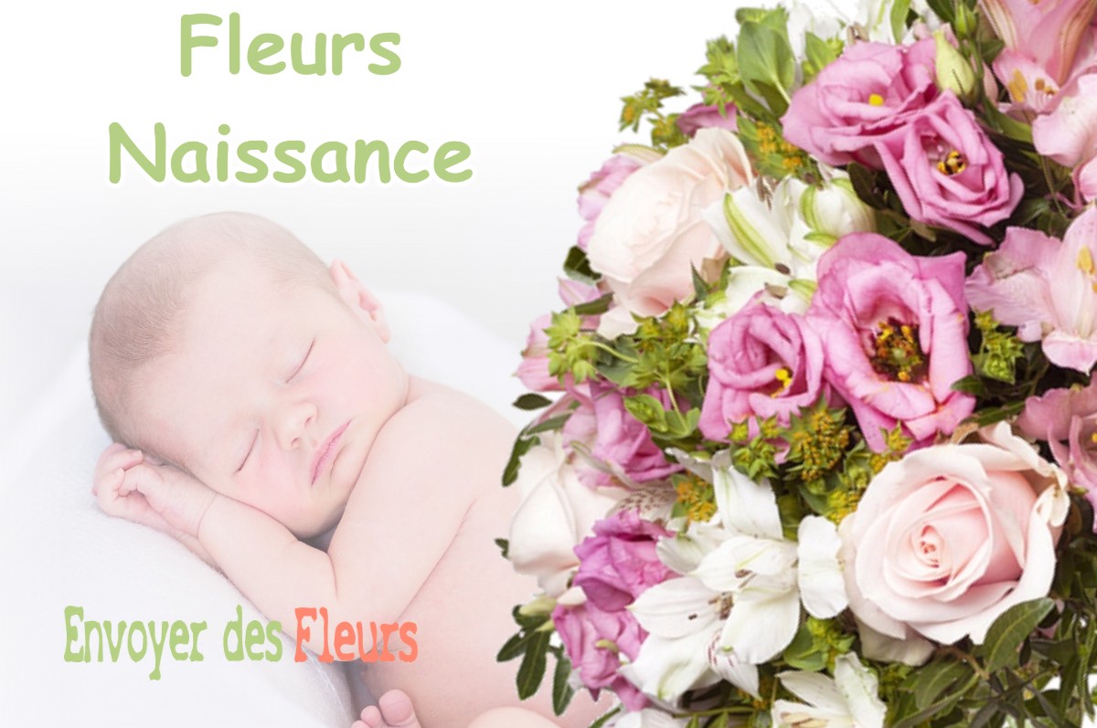 lIVRAISON FLEURS NAISSANCE à MARSON-SUR-BARBOURE